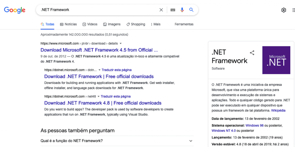 Microsoft .NET framework na SERP do Google