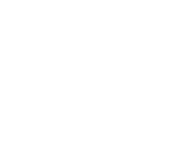 Coordenação de Projeto